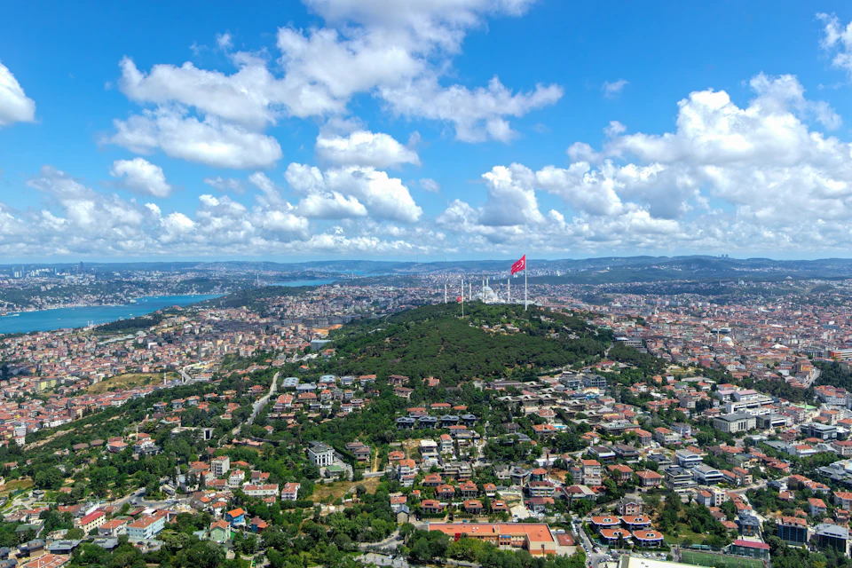 view