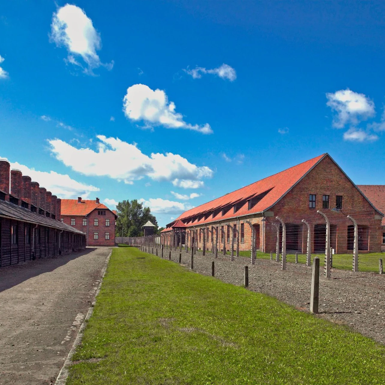Auschwitz-Birkenau: Guided Tour + Transport in Krakow – Tiqets