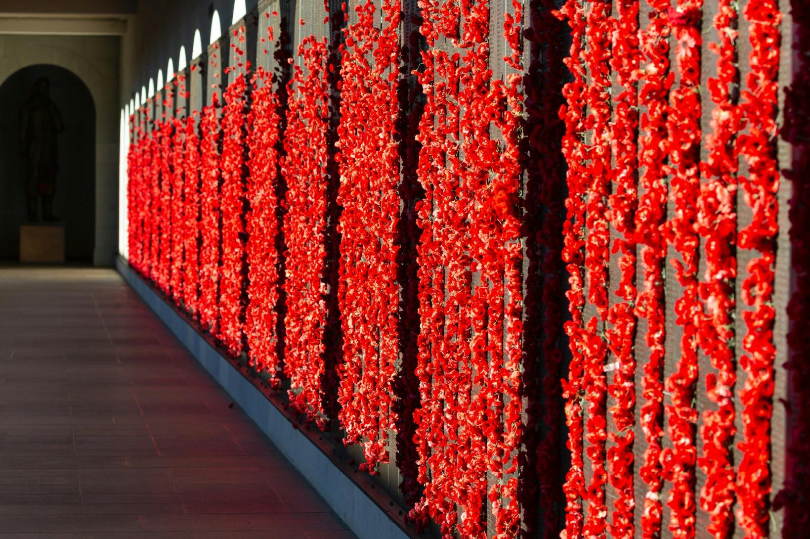 Visite des points forts de Canberra