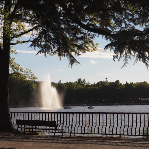 En scen vid sjön med en vattenfontän, träd, roddbåtar, ett metallstaket och en parkbänk.