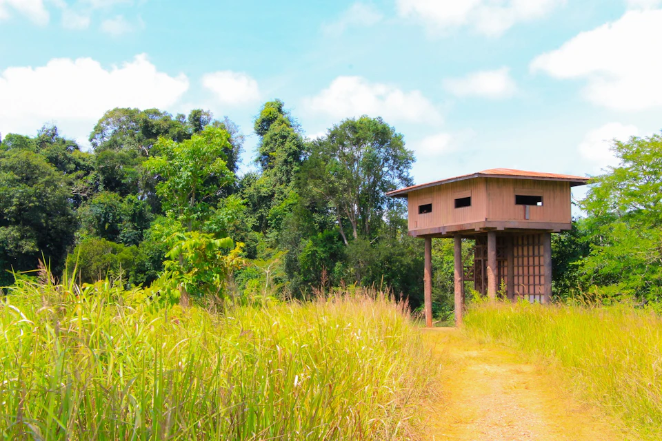 Nong Phak Chi Observation Tower