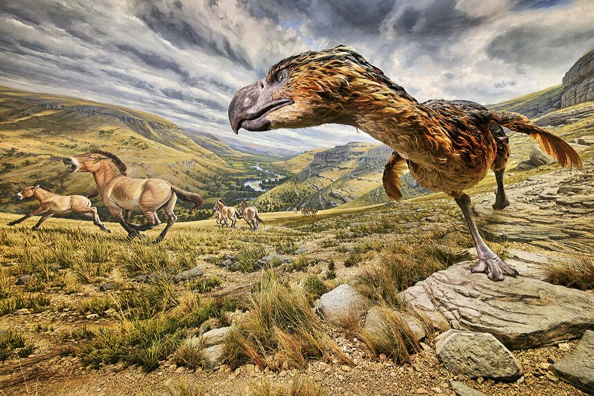 A prehistoric landscape with a large flightless bird in the foreground and a herd of horses grazing on a grassy plain.