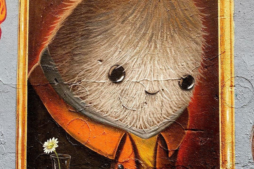 Slider Image
