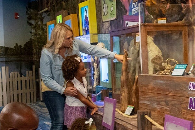 <City 79889> things to do #4: Ripley's Believe It or Not! Orlando