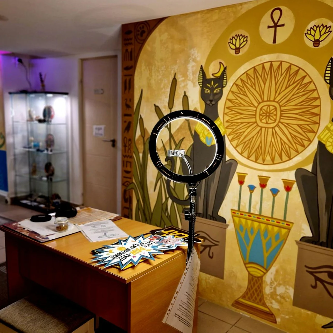 Cat Museum Budapest: Entry Ticket + Audio Guide in Budapest β Tiqets
