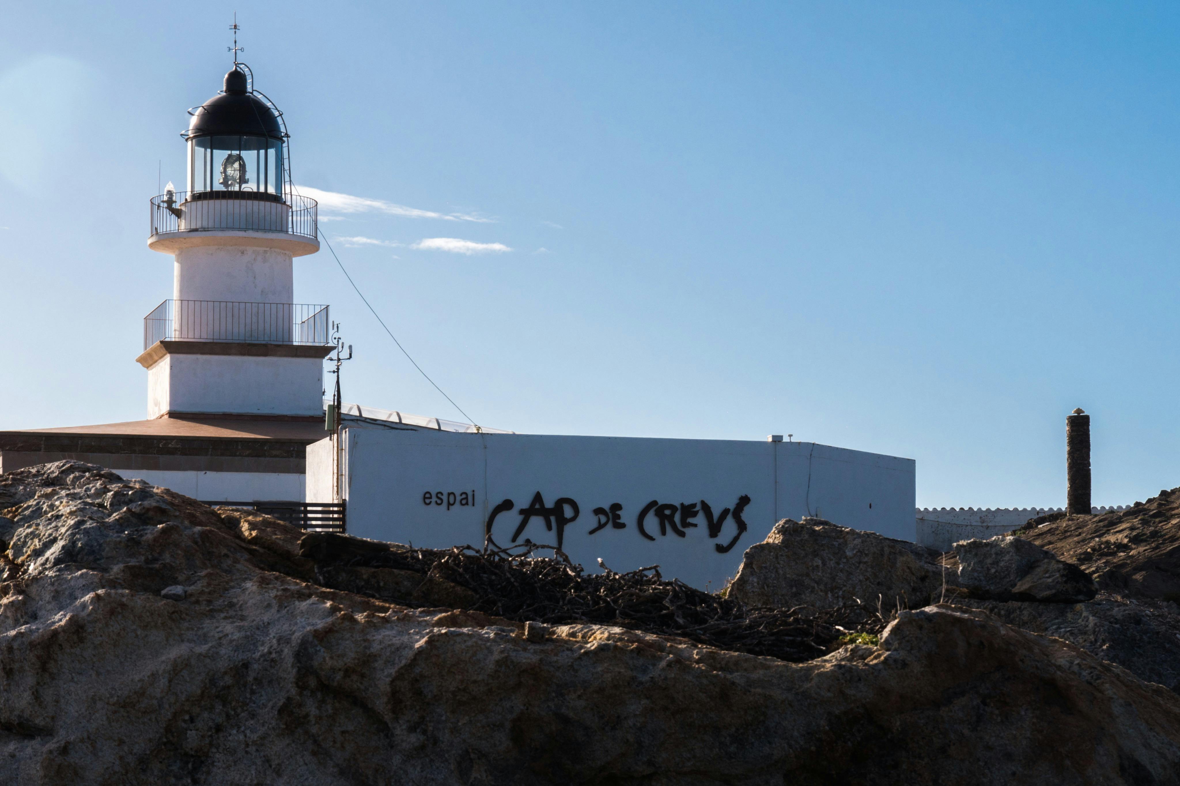 Cap de Creus: Boat Tour + Swim Stop - Photo 11