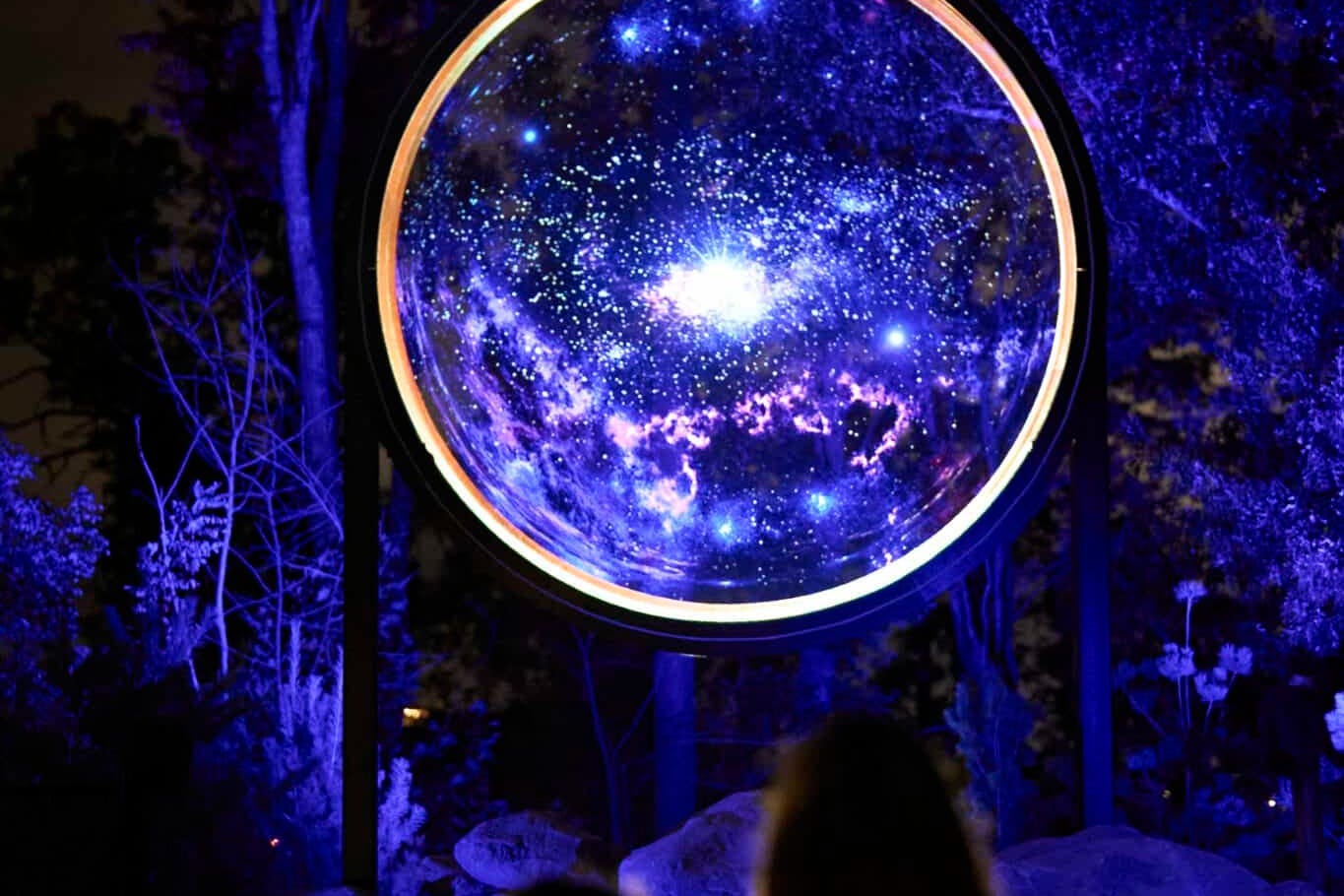 Anakeesta: Admissão de Astra Lumina - Photo 4