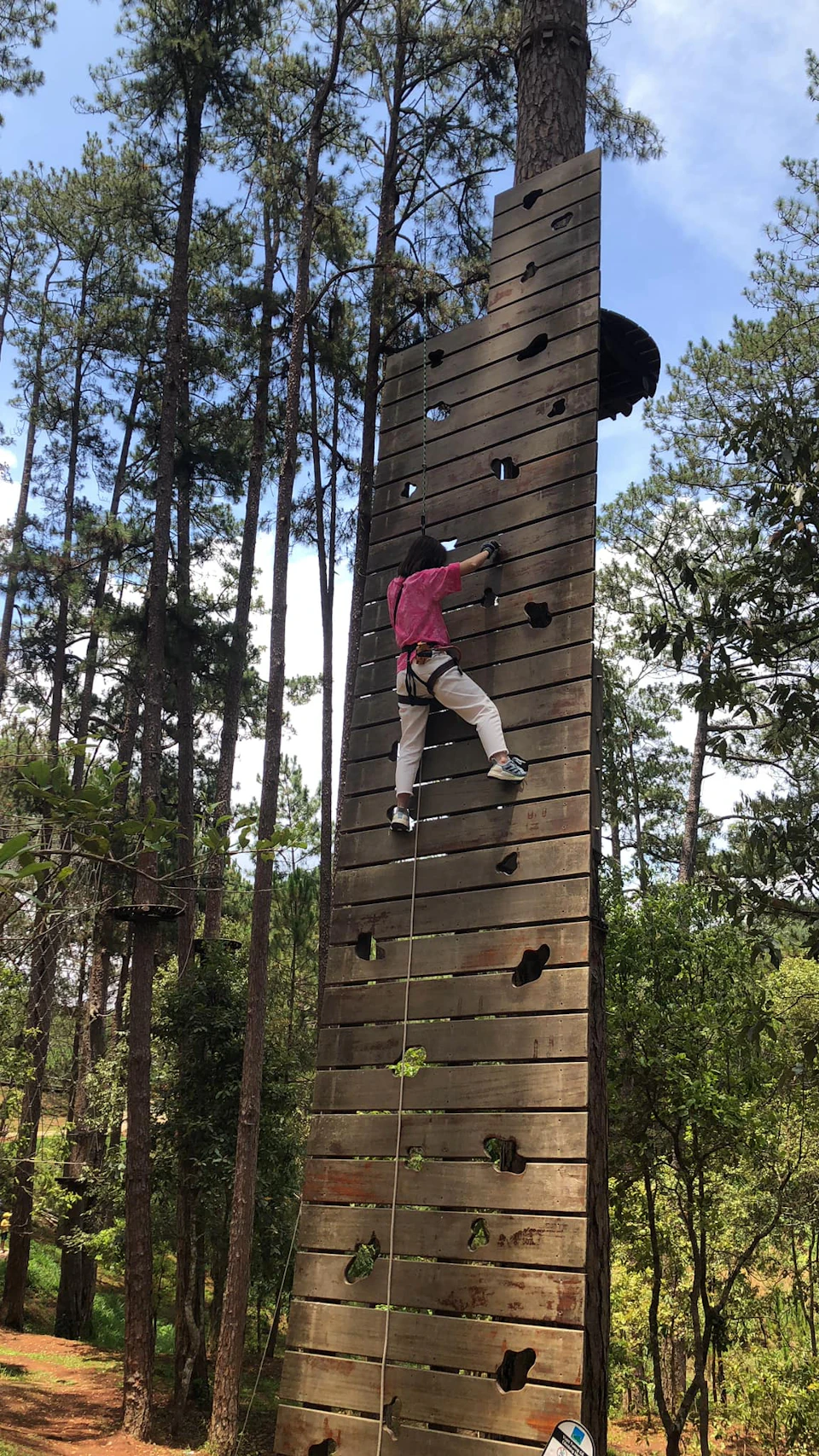A person in climbing gear ascending a wooden climbing wall outdoors surrounded by trees.