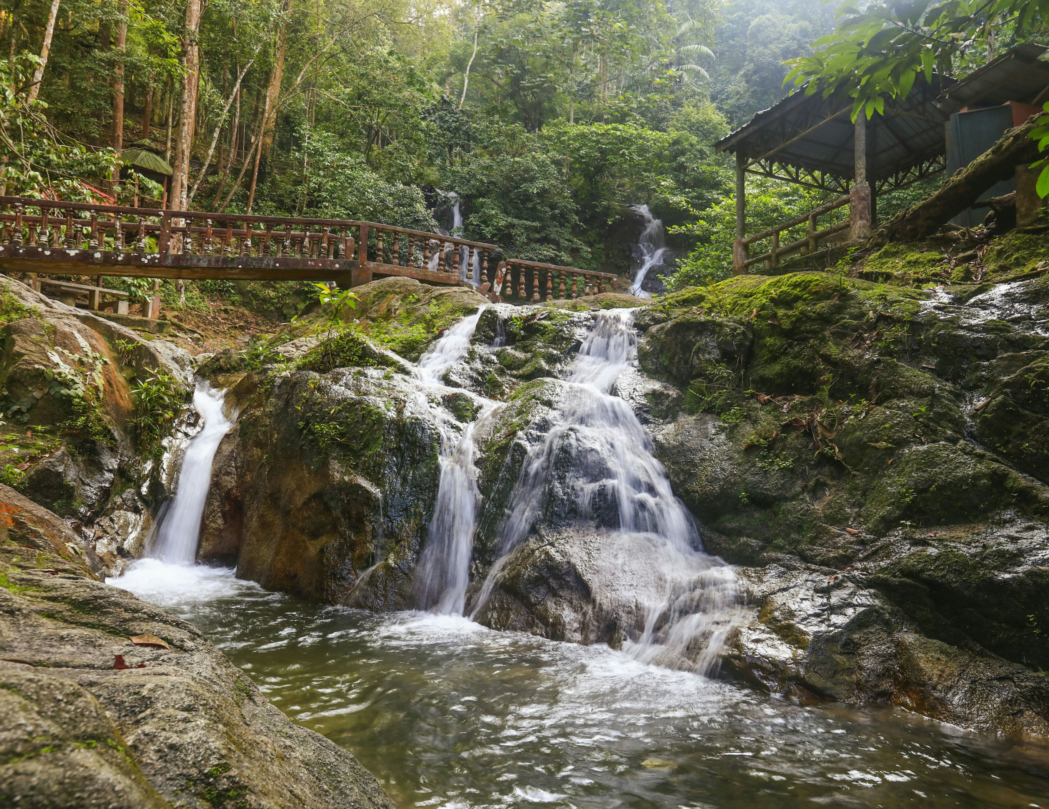 Templer Park Half Day Tour From Kuala Lumpur Tiqets