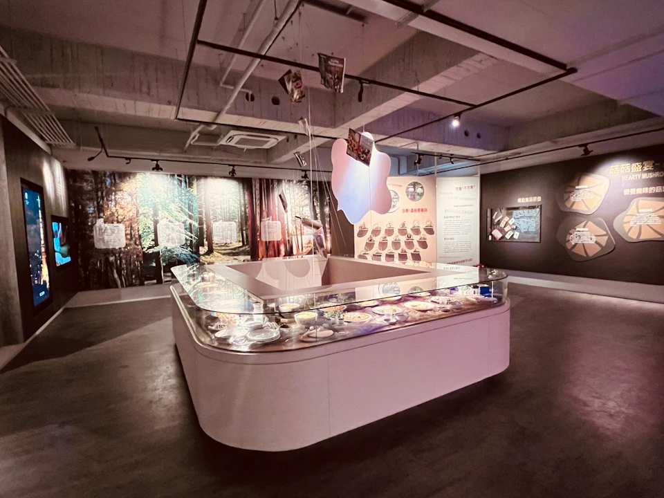 An exhibit room featuring display cases with artifacts, wall panels with information, and a hanging decorative element.