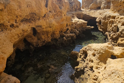 ベナジル洞窟、マリーニャビーチ、アルガルセコ：ファロ発ガイド付きツアー (即日発券)