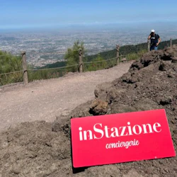 Mount Vesuvius: Skip The Line Ticket With Audio Guide + Roundtrip from Naples 2