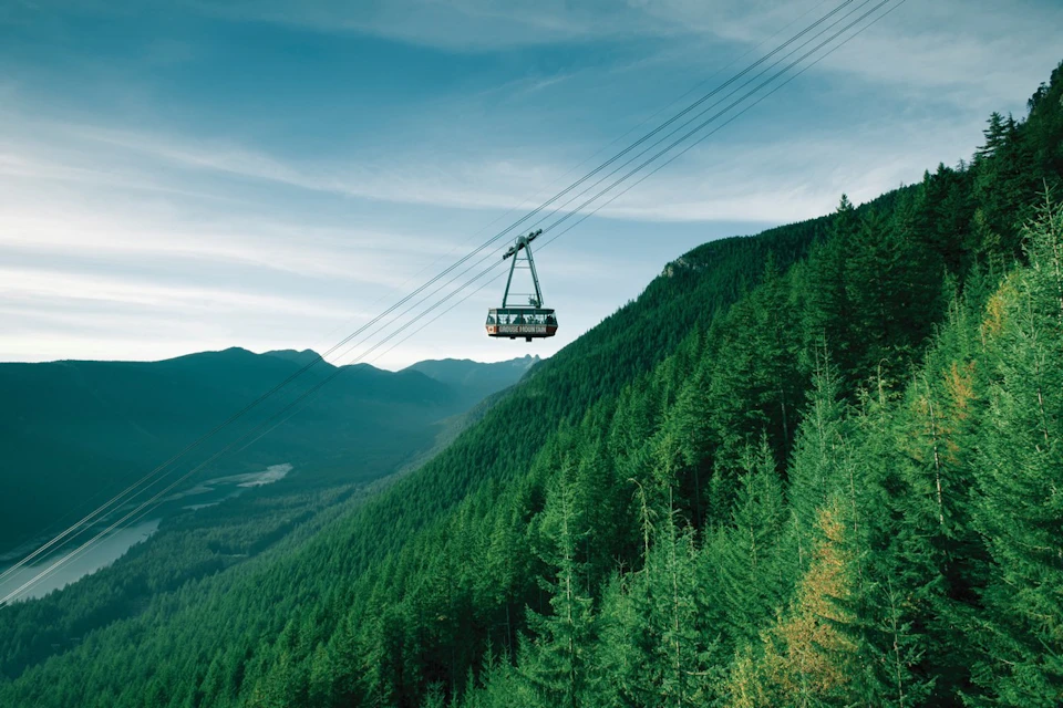 Skyride Gondola