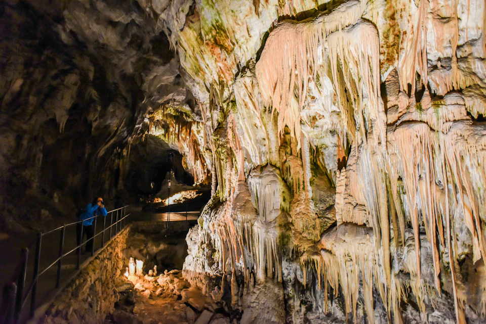 A person in a blue jacket observes large stalactites and stalagmites inside an illuminated cave with a winding pathway.
