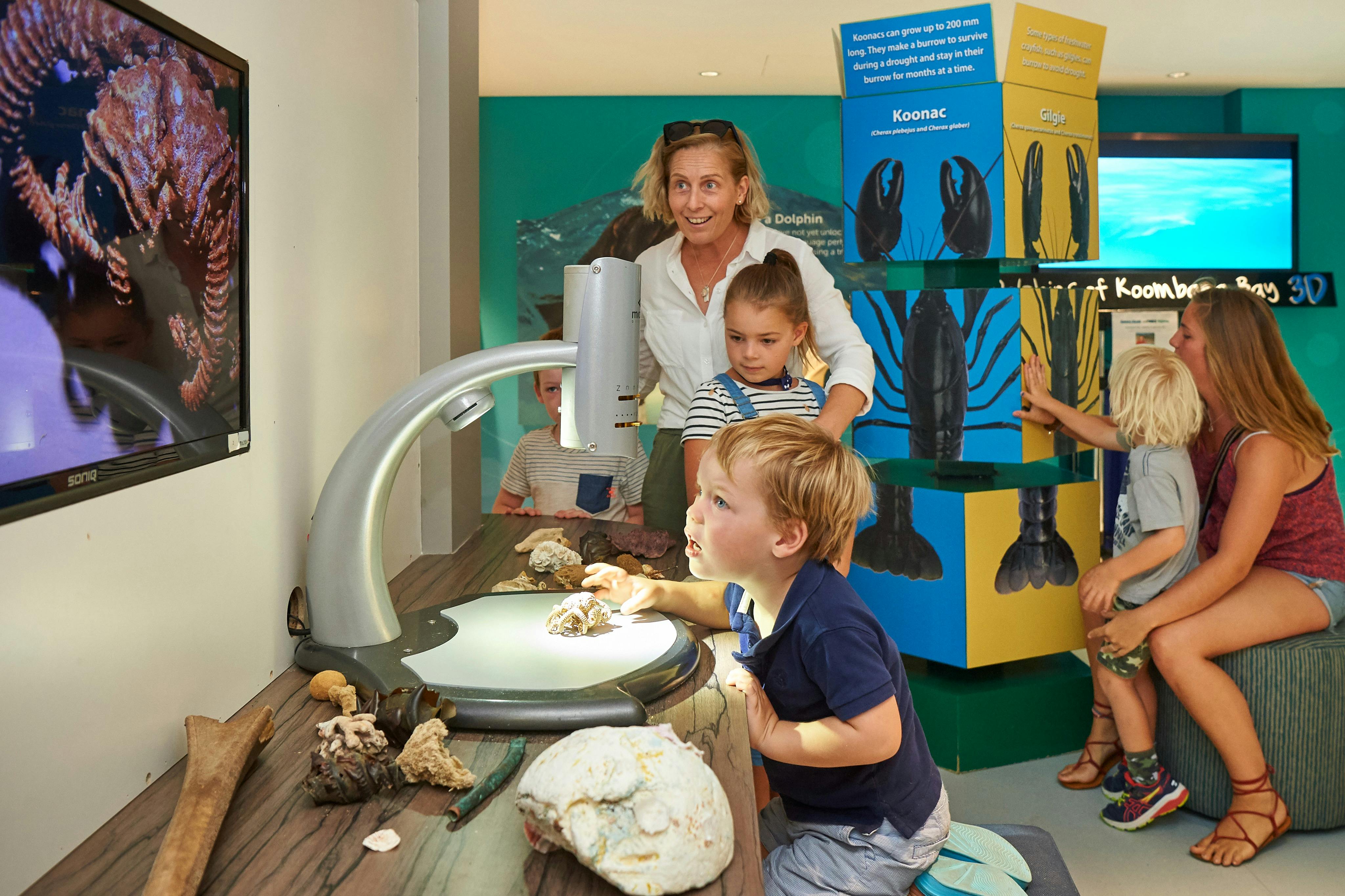 모든 연령대를 위한 대화형 학습 및 발견 스테이션