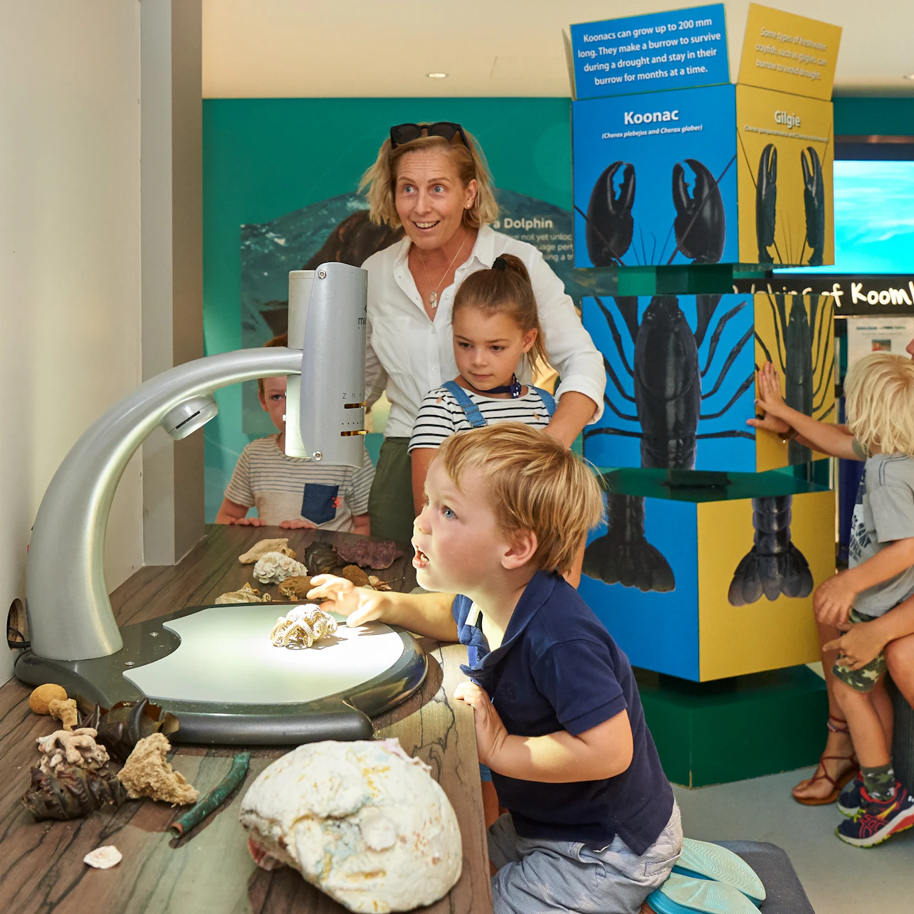 Interactive Learning and Discovery Stations for all age groups