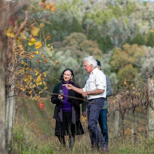 Hunter Valley: Excursão guiada de um dia a partir de Sydney + almoço e vinho + visita a uma adega - Photo 2