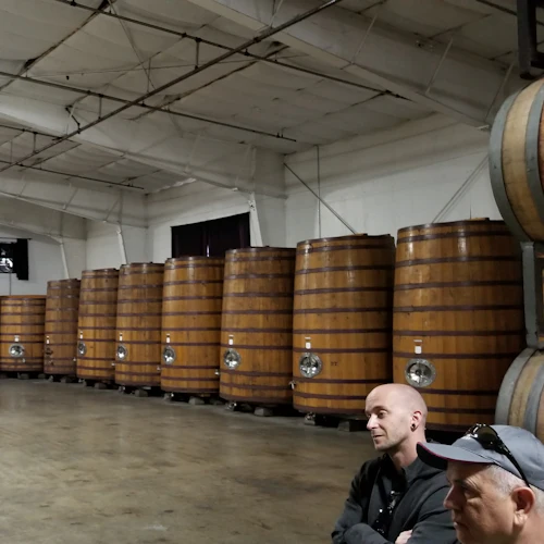 From San Francisco: Half-Day Wine Country Tour - Photo 14