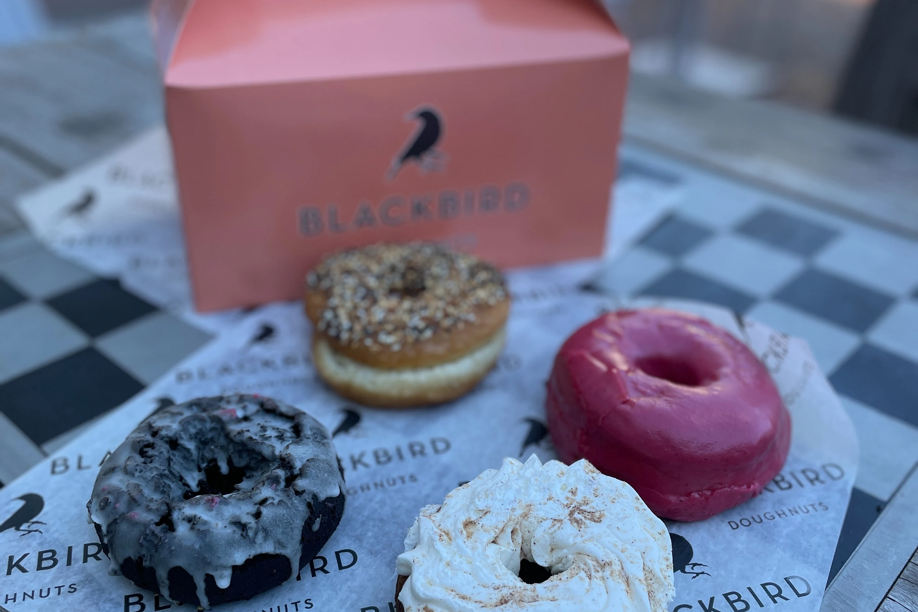 Boston: Harvard Square Guided Donut Tour