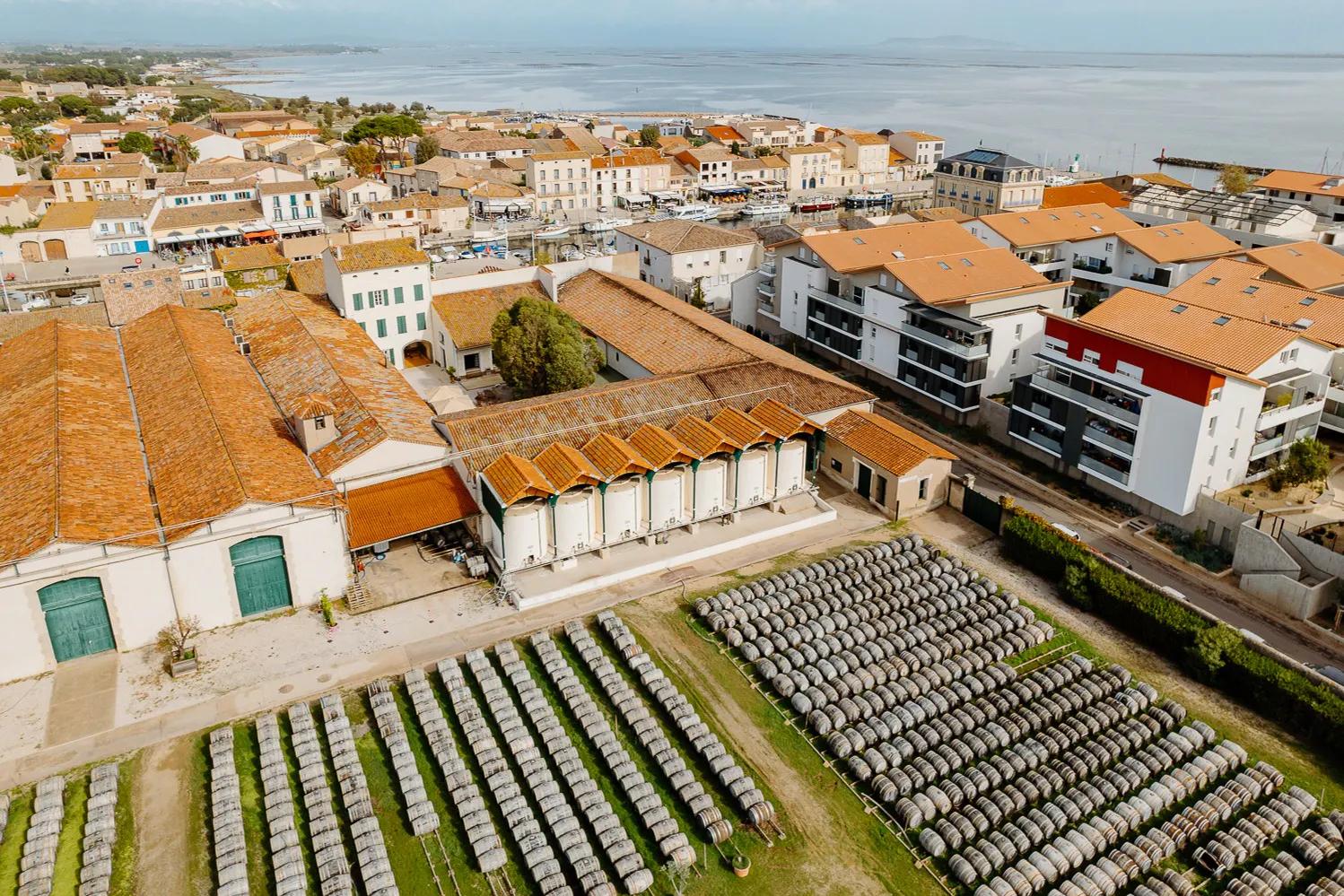 Noilly Prat House: Guided Historical Tour + Wine Tasting