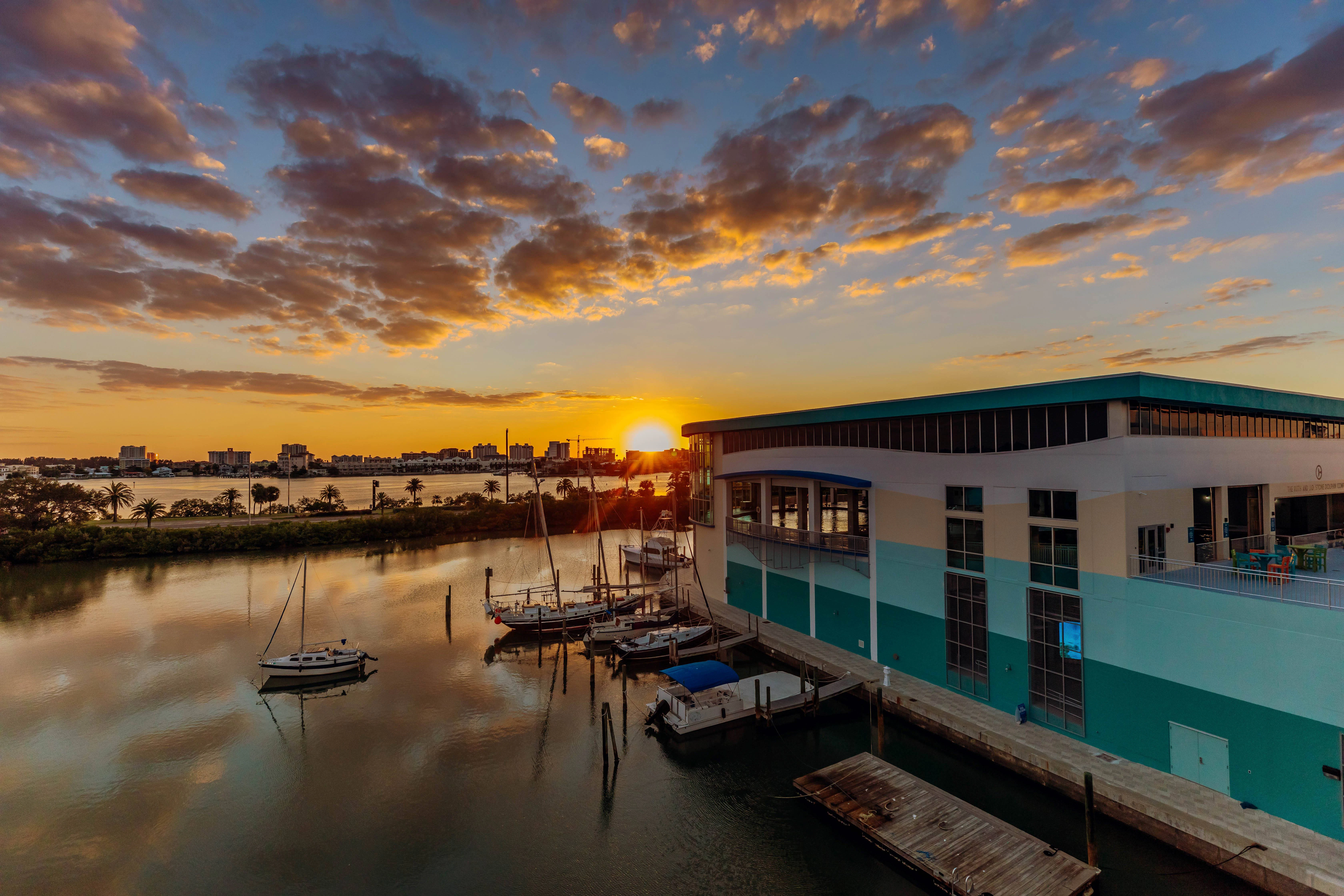 Clearwater Marine Aquarium + O Museu Dalí: Bilhete de entrada