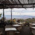 Pompeji mit Panoramawein-Mittagessen auf dem Vesuv: Tagesausflug von Rom