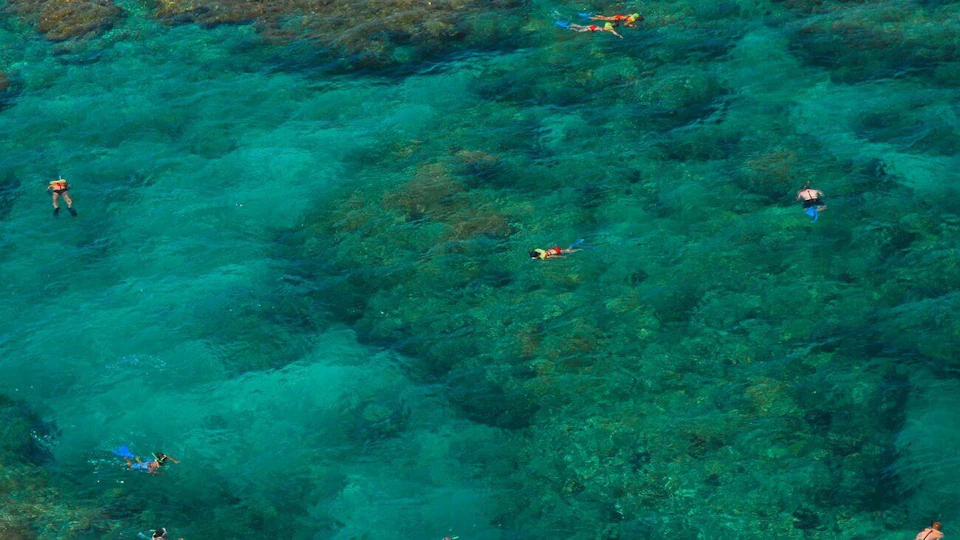 Two people are snorkeling in clear, turquoise water above a coral reef.