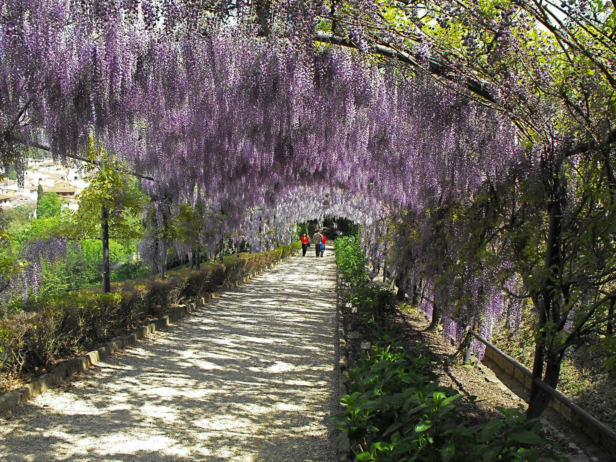 Giardino Bardini ve Florencii