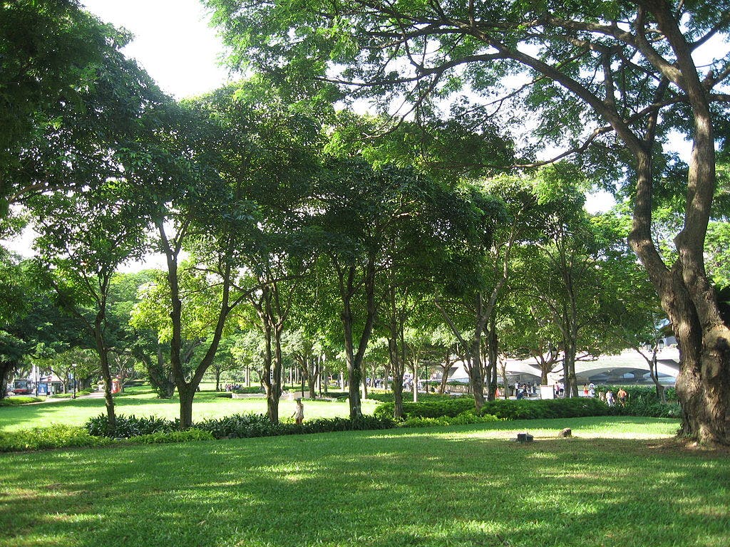 Un parc verdoyant, éclairé par le soleil, avec des arbres luxuriants, de l'herbe entretenue, et des gens au loin près d'une structure.