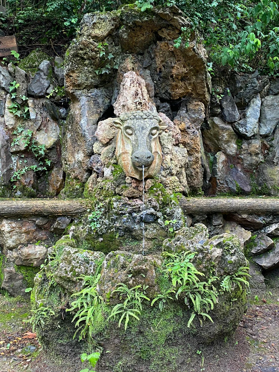 A stone fountain with a lion’s head spout, surrounded by rocks, moss, and ferns. Water trickles from the lion's mouth.