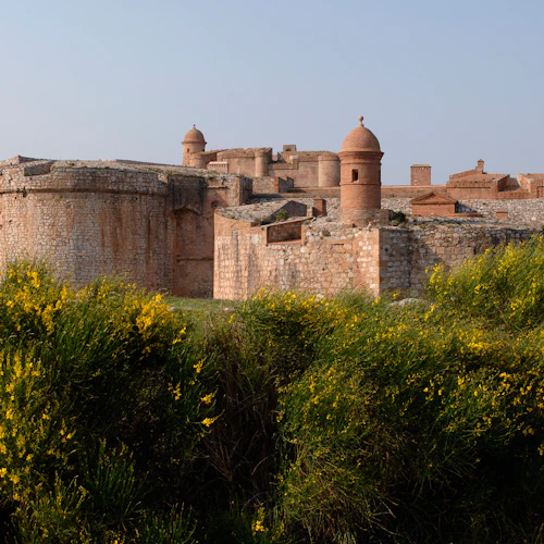 Forteresse de Salses: Entry Ticket
