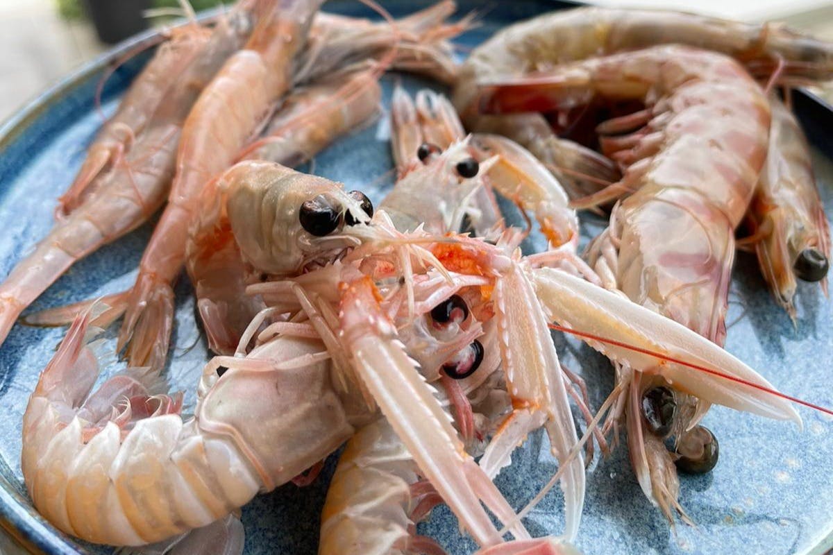 Emilia-Romagna: Corso di cucina di pesce + pranzo o cena + bevande — 3