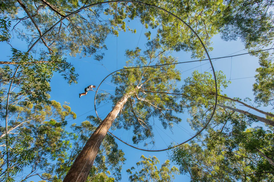 A person suspended in mid-air on a harness among tall trees with a rope structure visible, under a clear blue sky.