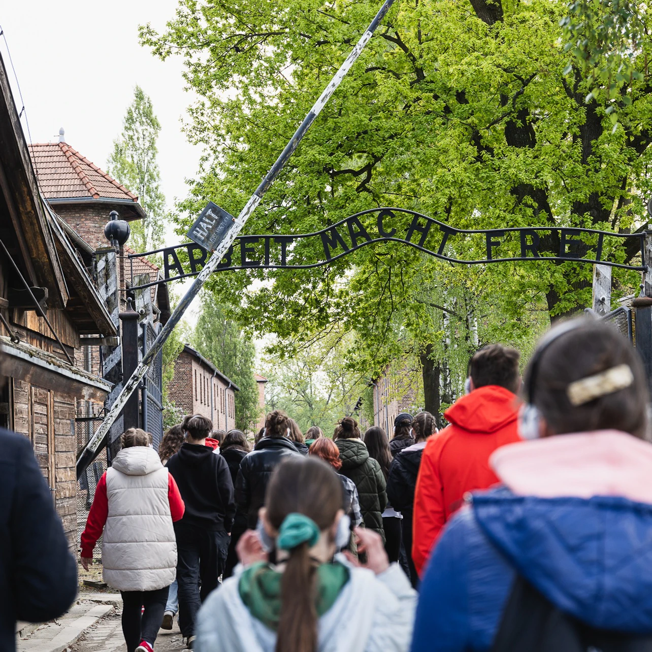 Auschwitz-Birkenau: Guided Tour + Transport in Krakow β Tiqets