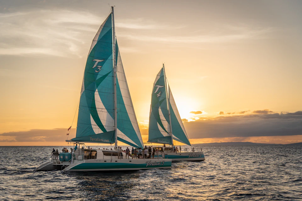 Two catamarans with turquoise sails sailing on the ocean at sunset, with people visible on board enjoying the scene.