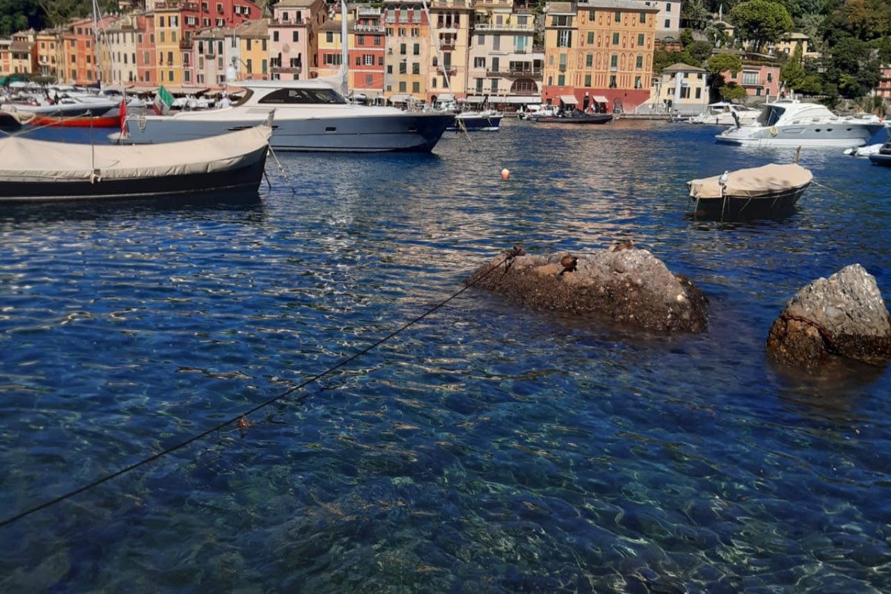 Boats anchored in a clear blue marina, with colorful buildings in the background and a rock visible in the water.