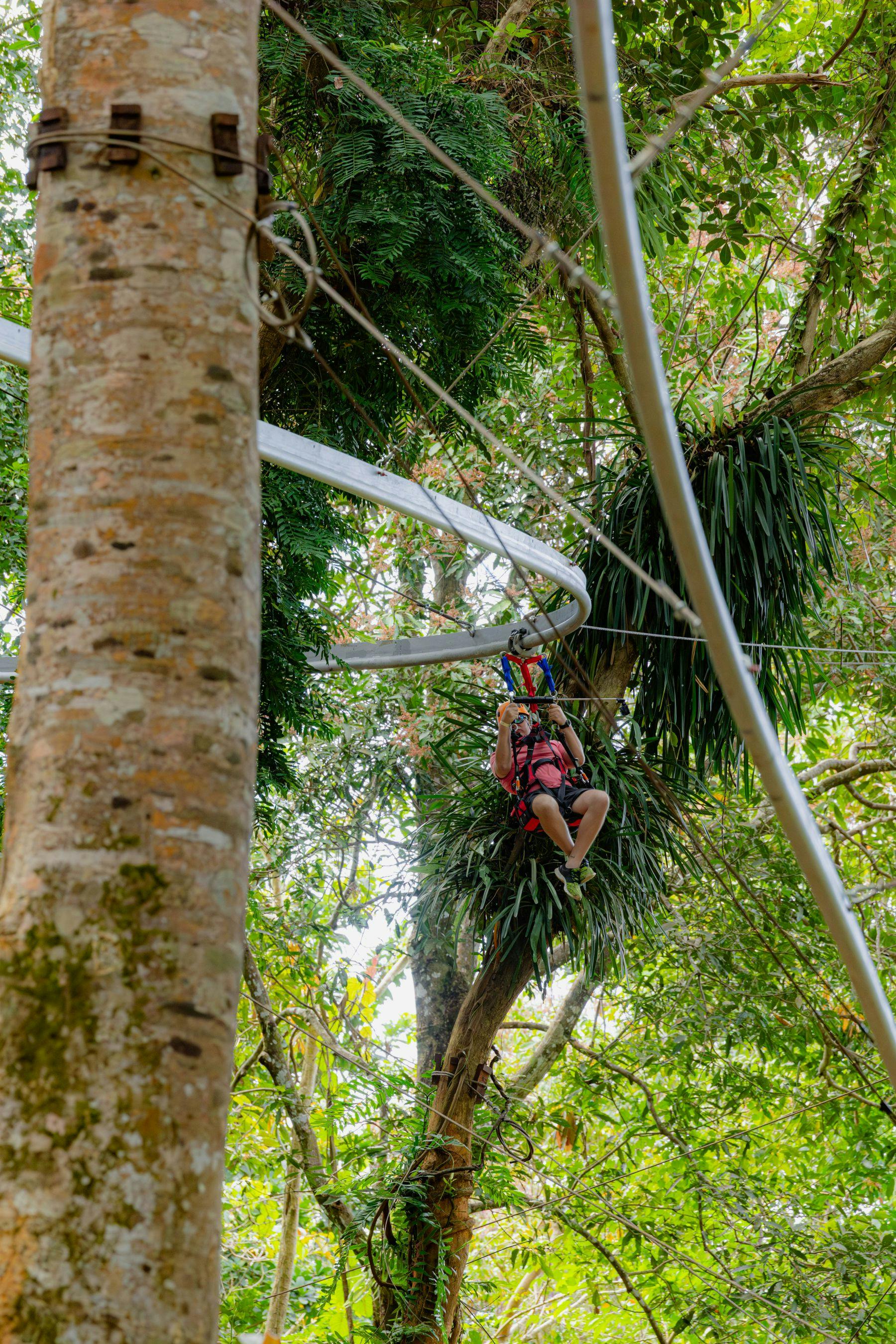 A person wearing a harness rides a zip line surrounded by lush, green forest trees.