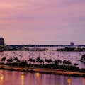 Scenic Miami Night Tour met Skyviews Observation Wheel