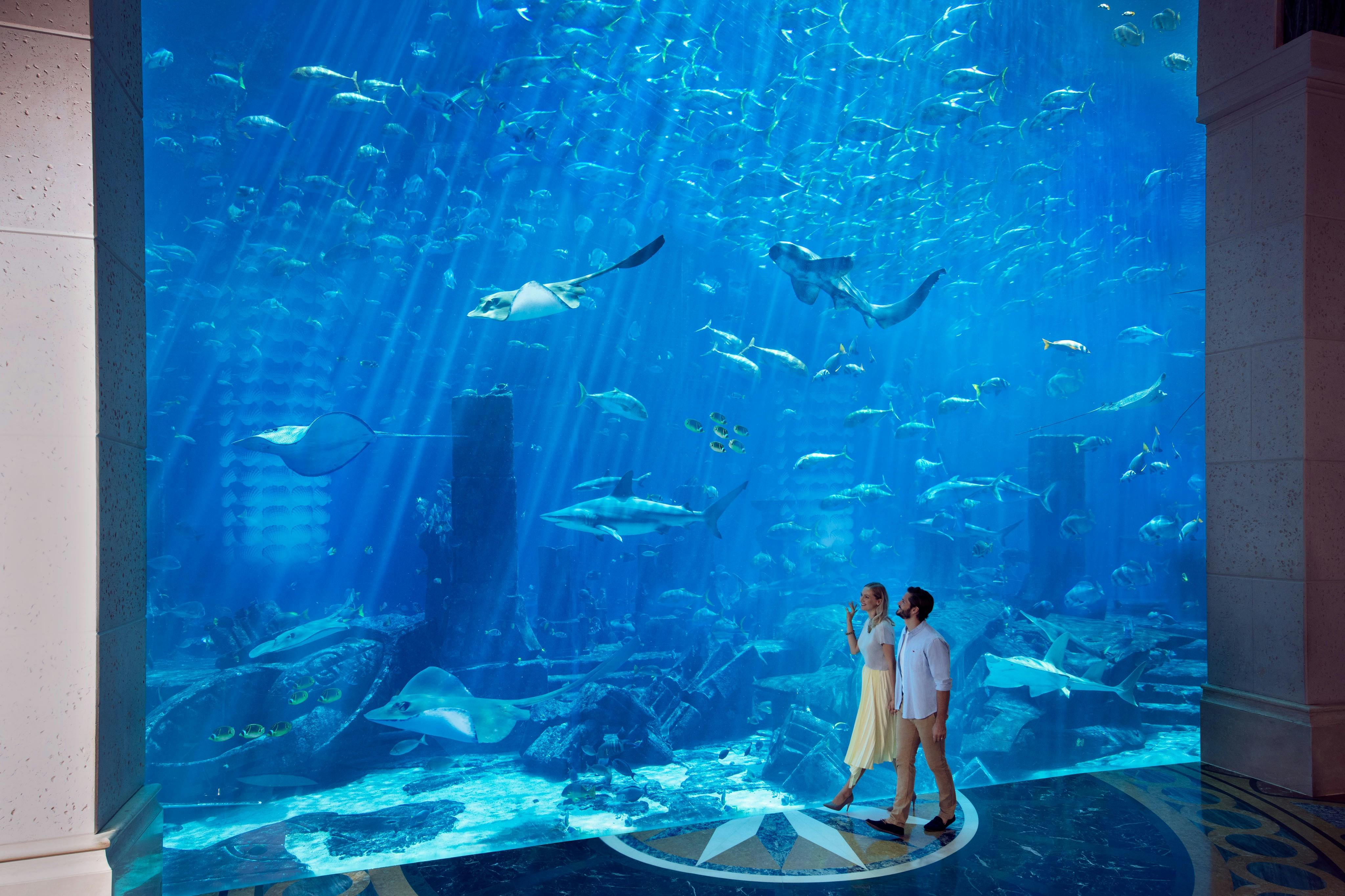 Atlantis The Palm-Ambassador Lagoon