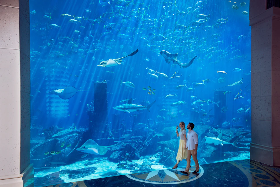 Atlantis The Palm - Ambassador Lagoon