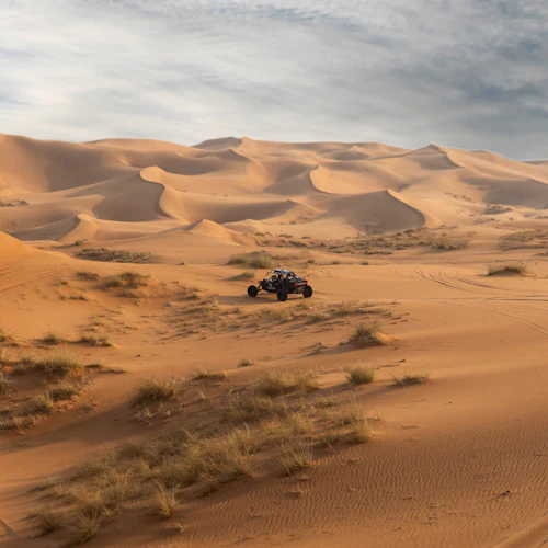Experiência de Dune Buggy e Descoberta de Fósseis no Parque Nacional de Mleiha - Photo 17