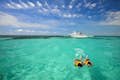 Snorkeling a Key West