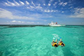 Snorkeling a Key West