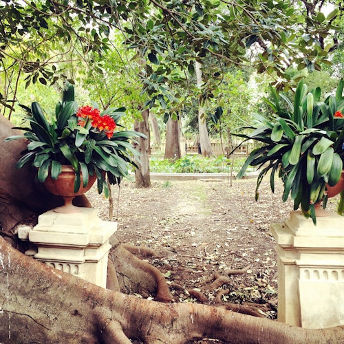 Palermo Botanical Garden: Entry + PemCards Postcard