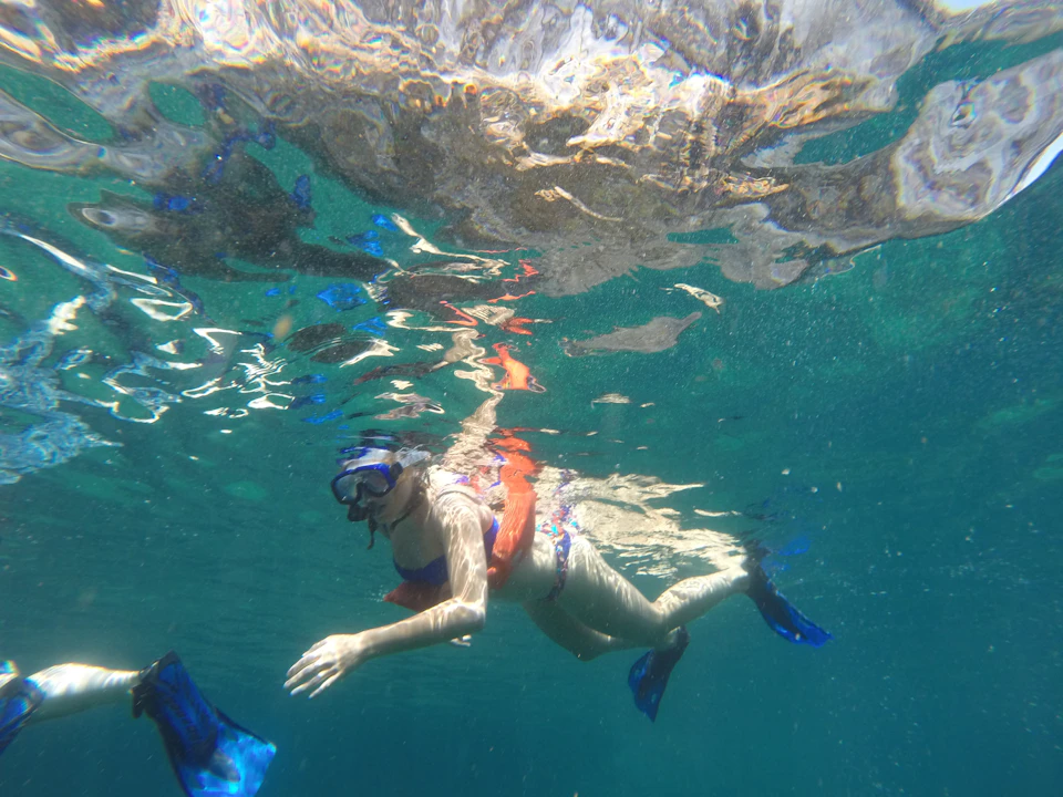 Person snorkeling underwater with a mask, snorkel, and blue flippers, surrounded by clear blue water.