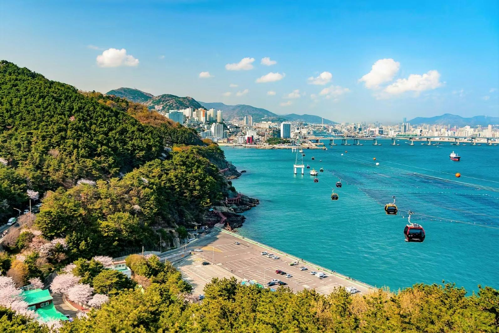 A coastal cityscape with cable cars over the sea, a forested hill, and urban buildings under a clear blue sky.