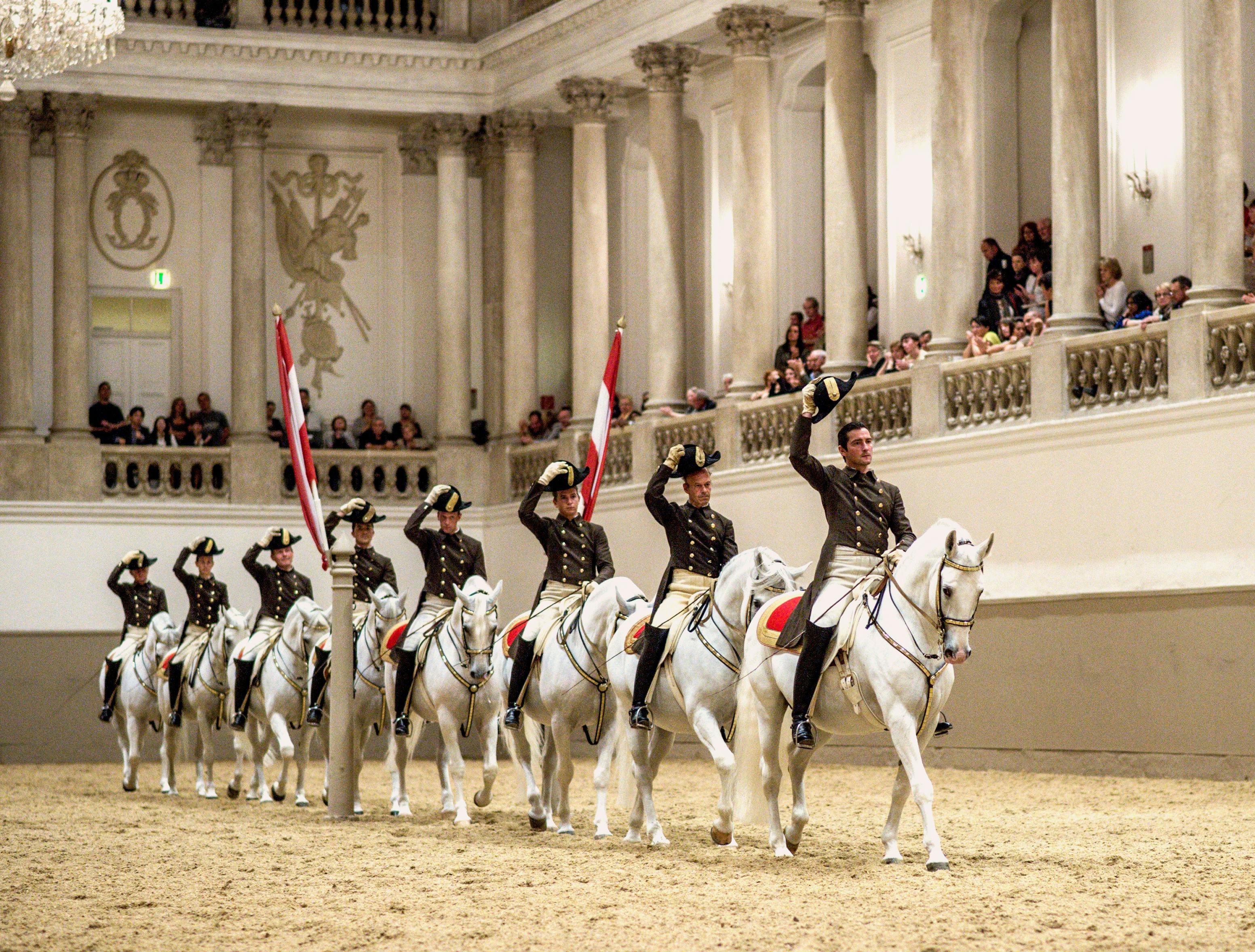 Pferdeausbildung in der Spanischen Hofreitschule