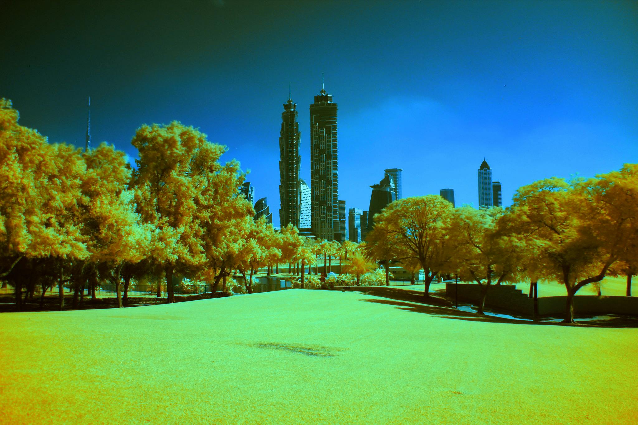Современный городской пейзаж с высотными зданиями виден над парком с желтовато-зеленой травой и деревьями, под ясным голубым небом.