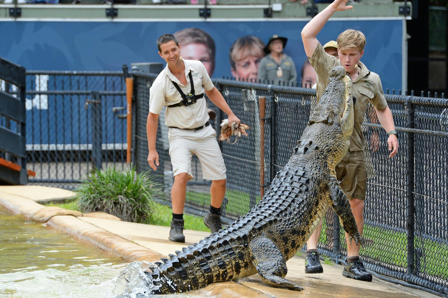 Zoológico da Austrália: Entrada + traslado de Brisbane - Photo 3