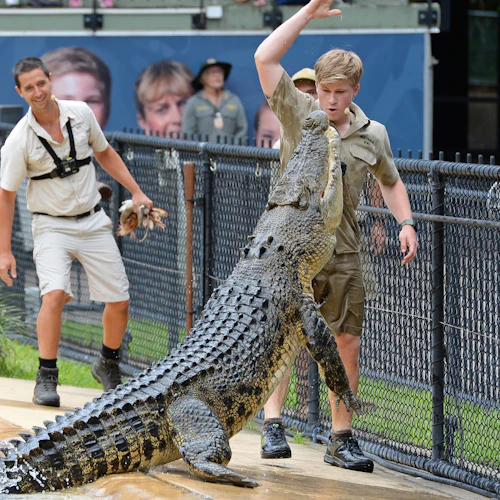 Zoológico da Austrália: Entrada + traslado de Brisbane - Photo 3